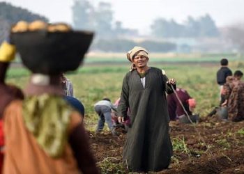رئيس الوزراء يهنئ فلاحي ومزارعي مصر بالعيد الـ ٧٢ للفلاح