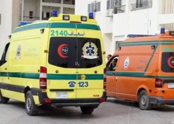 مصرع عاملين وإصابة آخر بالاختناق داخل خزان صرف بقرية في المنيا