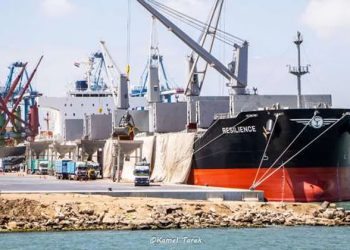 ميناء دمياط يستقبل 10 سفن و11 ألف طن قمح