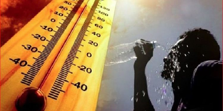 رئيس هيئة الرعاية الصحية يلتقى سفيرة الدنمارك بالقاهرة ونائب رئيس شركة نوفو نورديسك العالمية