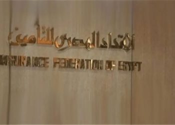 ما هو الاقتصاد الفضي وأهميته بالنسبة لشركات التأمين؟