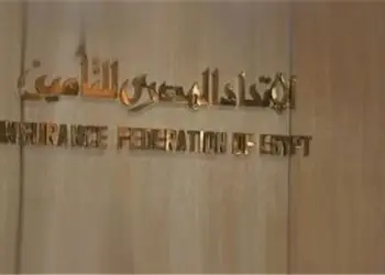 ما هو الاقتصاد الفضي وأهميته بالنسبة لشركات التأمين؟
