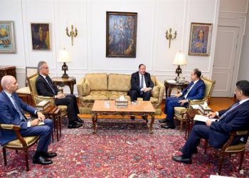 وزير الخارجية يستقبل رئيس الجهاز المصرى لحماية الملكية الفكرية