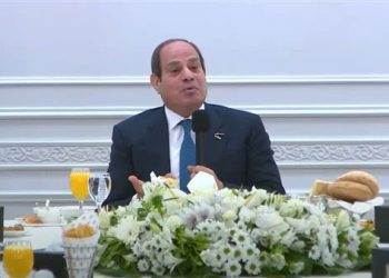 السيسي: دعم مصر للصومال من باب الاستقرار ولا علاقة لهذا بإثيوبيا