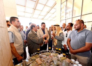 وزير الإسكان يتفقد ساحة ومبنى السلام والفندق الجبلى ومركز الزوار بمشروع تطوير موقع التجلى الأعظم فوق أرض السلام