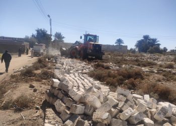 وزارة الزراعة: إزالة 4 تعديات على الأراضى الزراعية فى الأقصر