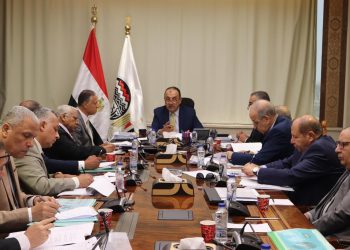 وزير قطاع الأعمال يتابع خطط العمل التنفيذية لشركات “القابضة الكيماوية” ويناقش فرص الاستثمار