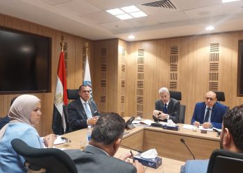 نائب وزير المالية:  ضرورة التنسيق مع جهاز المشروعات المتوسطة والصغيرة ومتناهية الصغر فيما يتعلق بهذا النظام المتكامل