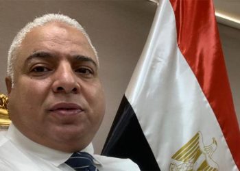 علاء نصر الدين:الارتفاع المضطرد في حجم الصادرات المصرية يعكس زيادة معدل الإنتاج على المستوى المحلي