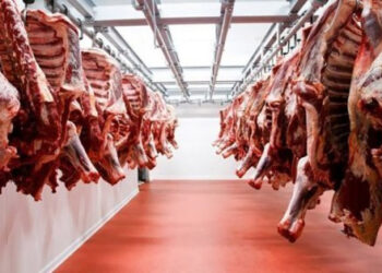 أسعار اللحوم الحمراء اليوم الإثنين