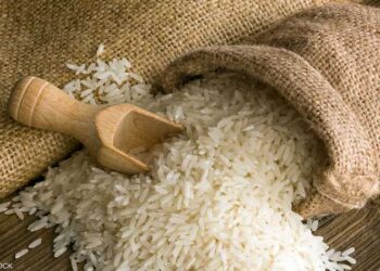 أسعار الأرز بين ارتفاعات غير متوقعة وتحديات مناخية: ماذا ينتظر السوق المصري؟