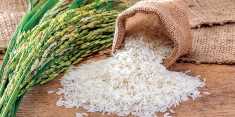 أسعار الأرز الشعير والسلع الأساسية اليوم في السوق المصري