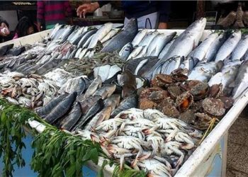 أسعار الأسماك في سوق العبور اليوم الجمعة