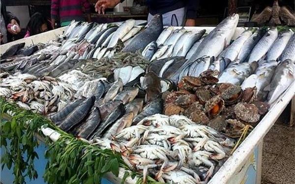 أسعار الأسماك في سوق العبور اليوم الجمعة