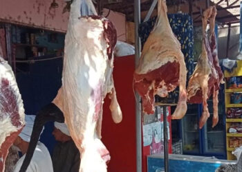 أسعار اللحوم الحمراء اليوم الأربعاء