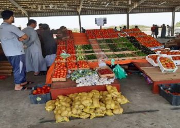 اسعار الخضار والفاكهة في مصر اليوم الجمعة