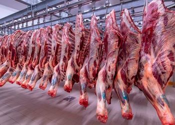أسعار اللحوم الحمراء اليوم الإثنين