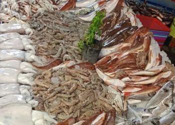 أسعار الأسماك في سوق العبور اليوم السبت