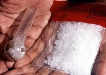 المشدد 10 سنوات لـ ربة منزل تتاجر في الشابو بأسيوط