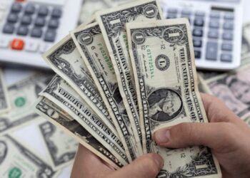 الدولار يستقر أمام الجنيه في بداية تعاملات اليوم الثلاثاء 29 أكتوبر 2024