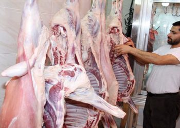 أسعار اللحوم الحمراء اليوم الجمعة