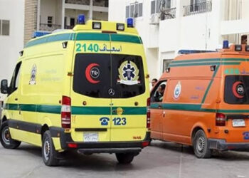 مصرع شخصين فى تصادم سيارتين بالجيزة