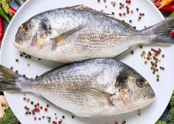 السوق اليوم: صعود ملحوظ في أسعار الأسماك والجمبري