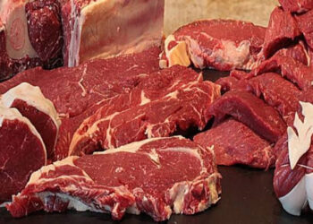 أسعار اللحوم الحمراء اليوم الثلاثاء