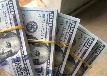 استقرار سعر الدولار مقابل الجنيه المصري اليوم الخميس 3 أكتوبر 2024