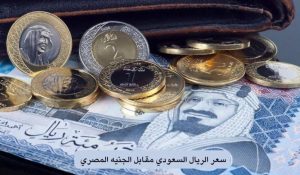 استقرار سعر الريال السعودي مقابل الجنيه المصري اليوم الأربعاء 9 أكتوبر.. نظرة على أحدث الأسعار