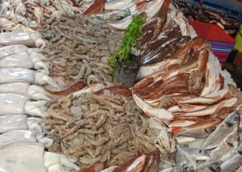 أسعار الأسماك في سوق العبور اليوم الأحد