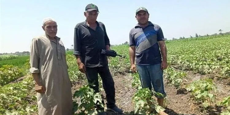 “الزراعة” تصدر نشرة توصيات لتعامل المزارعين مع التقلبات المناخية هذه الفترة