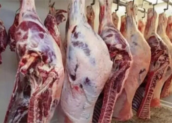 أسعار اللحوم الحمراء اليوم الإثنين