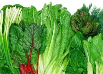 خضار ورقي يقوي أعصابك ويحميك من مرض خطير