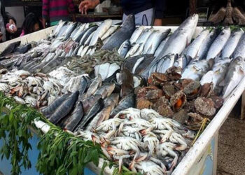 أسعار الأسماك في سوق العبور اليوم السبت