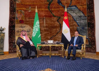 الرئيس السيسى وولى العهد السعودى يطالبان بوقف إطلاق النار بقطاع غزة ولبنان