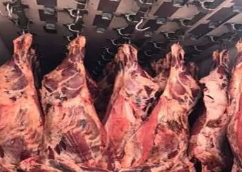 أسعار اللحوم الحمراء اليوم الخميس