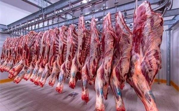 أسعار اللحوم الحمراء اليوم الجمعة