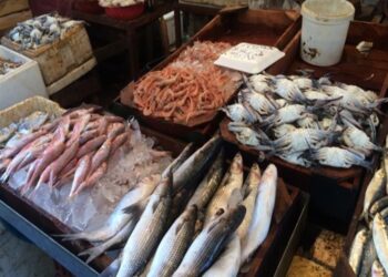 أسعار الأسماك في سوق العبور اليوم السبت