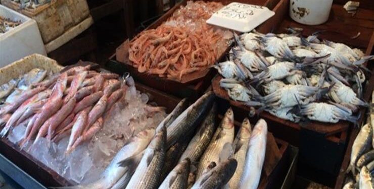 أسعار الأسماك في سوق العبور اليوم السبت
