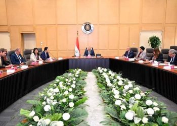 وزير الصناعة والنقل يبحث مع شركة سكاتك النرويجية  إقامة مصنع لتوطين صناعة المحللات الكهربائية