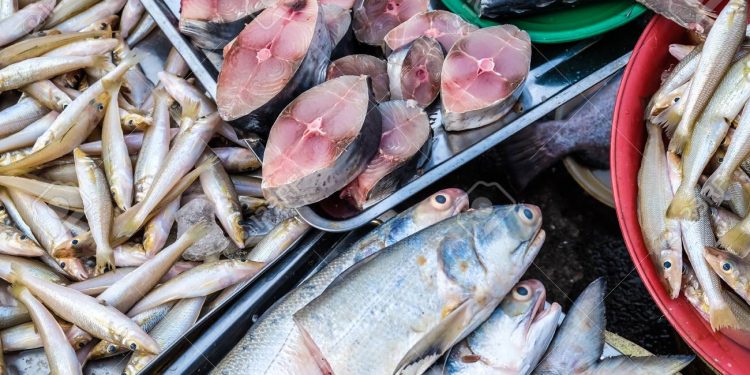 أسعار الأسماك والجمبري في سوق العبور اليوم الخميس