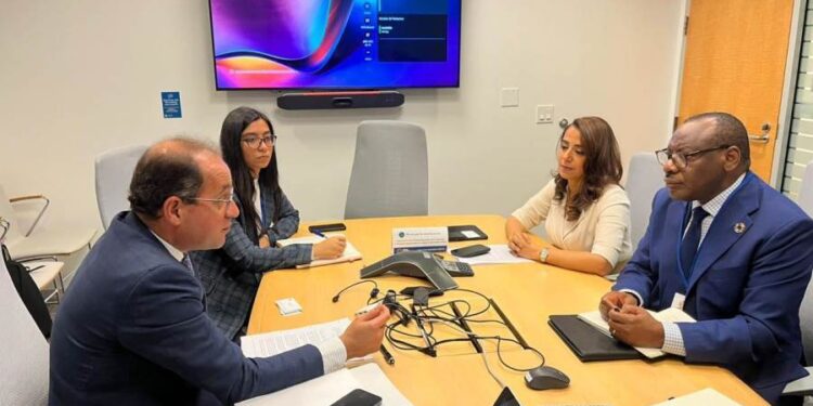 وزير المالية : «تحالف الديون من أجل التنمية المستدامة» يمكن أن يكون جزءًا من الحل فى قضية التمويل بإفريقيا