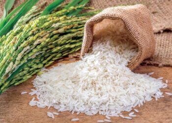 أسعار الأرز في مصر اليوم السبت 16 نوفمبر 2024