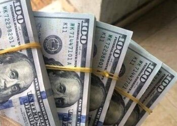 تباين أسعار الدولار أمام الجنيه المصري في البنوك المصرية اليوم الأربعاء 13 نوفمبر 2024