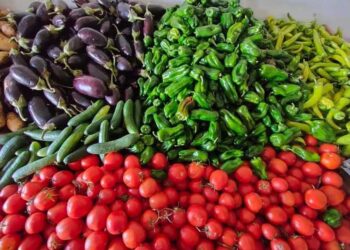 أسعار الخضار والفاكهة اليوم الخميس