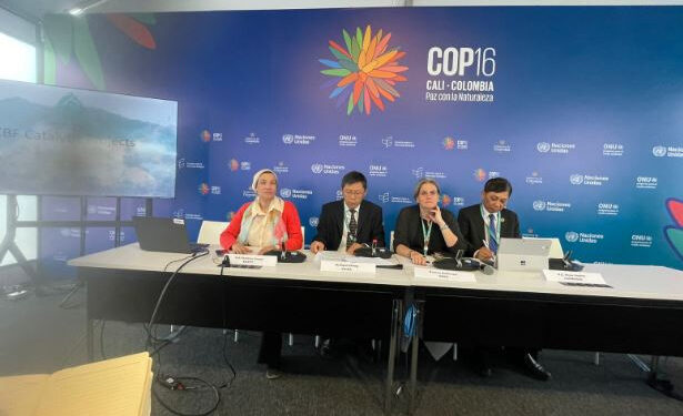 مشاركات فعالة لوزيرة البيئة فى اجتماعات مؤتمر الأطراف السادس عشر لاتفاقية التنوع البيولوجي بكولومبيا cop16