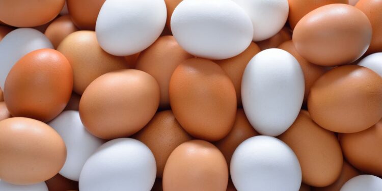 ارتفاع أسعار البيض في الأسواق المصرية مع دخول البيض التركي بأسعار أقل