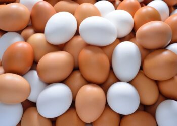 استقرار أسعار البيض في الأسواق المصرية.. تحليل للأسعار اليوم