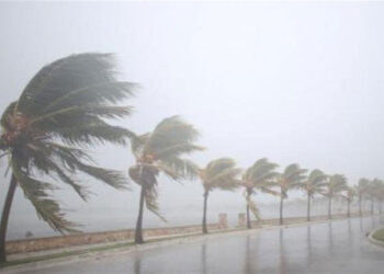 أمطار ورياح وبرودة.. الأرصاد تحذر من طقس الغد